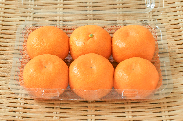 きんかん（L） 【業務用食材の仕入れなら八面六臂】