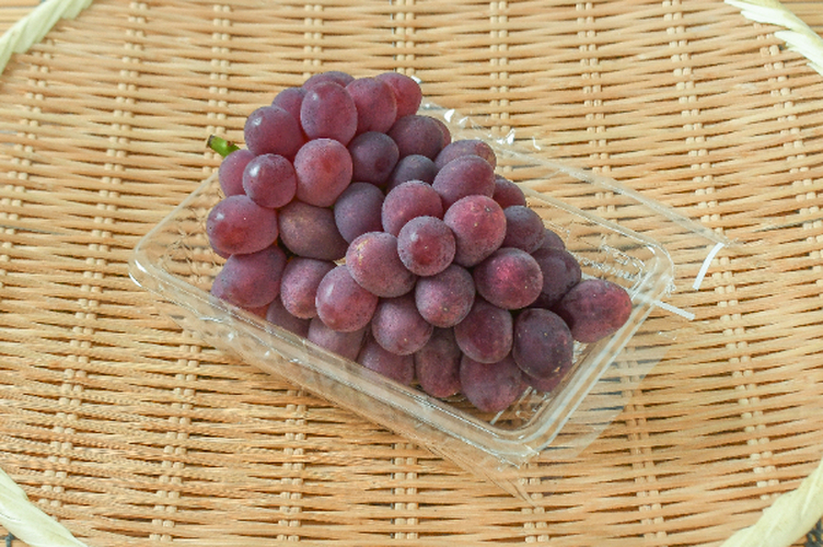 サニールージュ（秀） 【業務用食材の仕入れなら八面六臂】