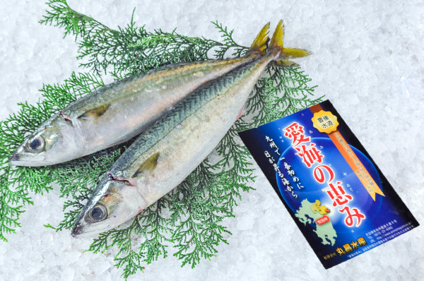 活〆マサバ（釣物）