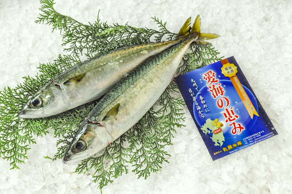 活〆神経抜きマサバ 八面六臂