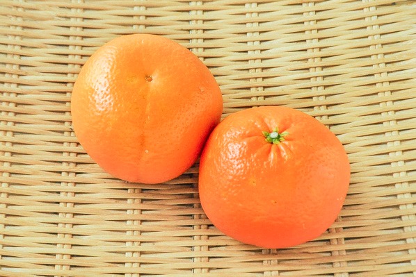 清見オレンジ（L）