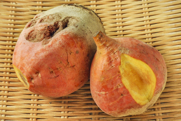 黄色ビーツ（B)　1kg