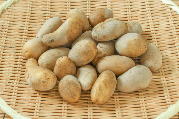 メークイン（2S）1kg