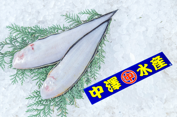 クロシタビラメ 【業務用食材の仕入れなら八面六臂】