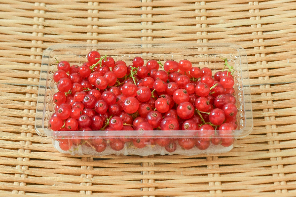 赤スグリ（レッドカラント）（フレッシュ） 【業務用食材の仕入れなら