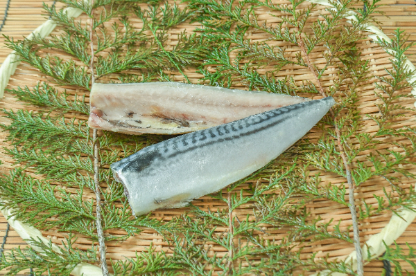 無塩サバフィレ（50入サイズ）90-110gr