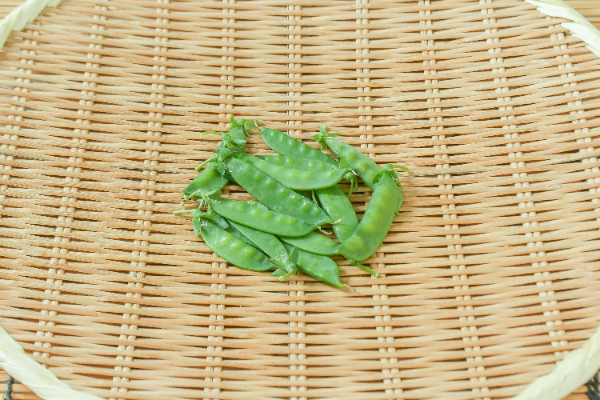 絹さや（L）