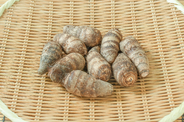 海老芋 海老芋（2L） 【業務用食材の仕入れなら八面六臂】