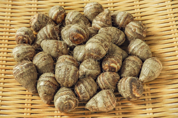 海老芋（子芋）500gr