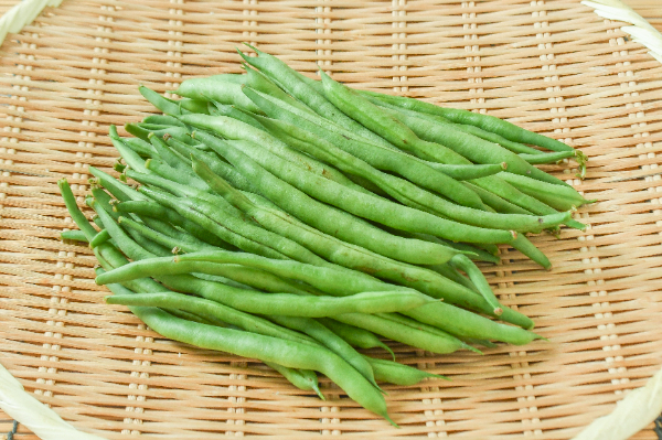 いんげん（M）500gr