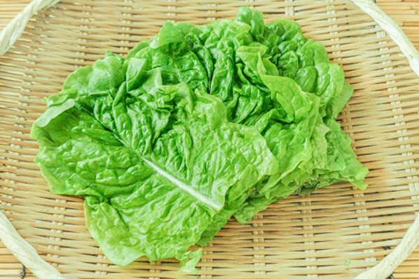 サンチュ 【業務用食材の仕入れなら八面六臂】
