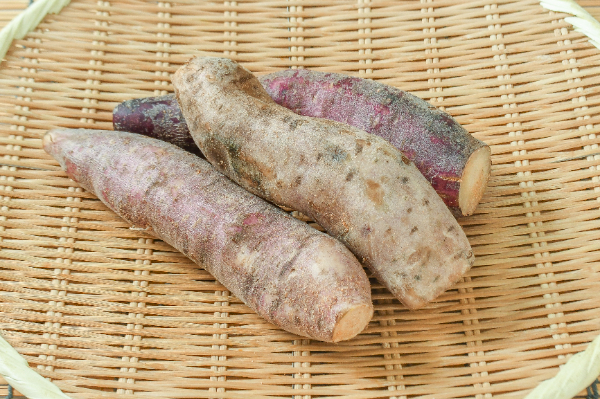 ヤーコン（L）1kg