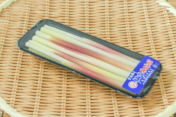 みょうがたけ