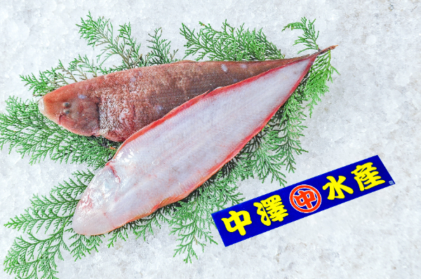 アカシタビラメ（底曳網）