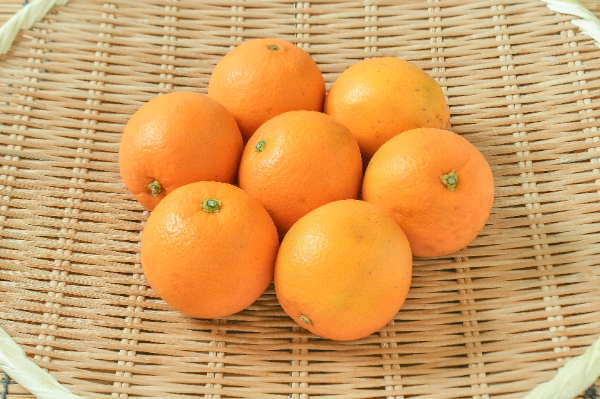 ネーブルオレンジ（S）（赤秀） 【業務用食材の仕入れなら八面六臂】