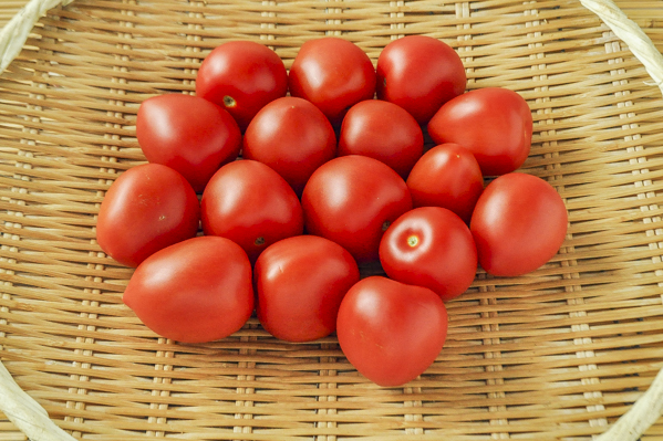 イタリアントマト L 八面六臂