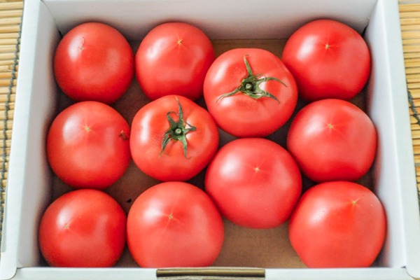 中玉トマト（シュクレトマト）（L）箱1kg
