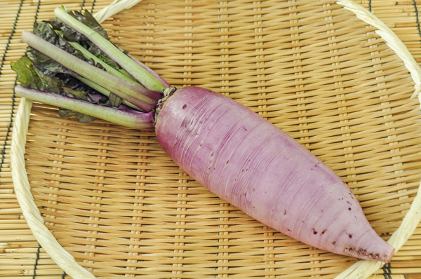 赤城しぐれ大根　【業務用食材の仕入れなら八面六臂】