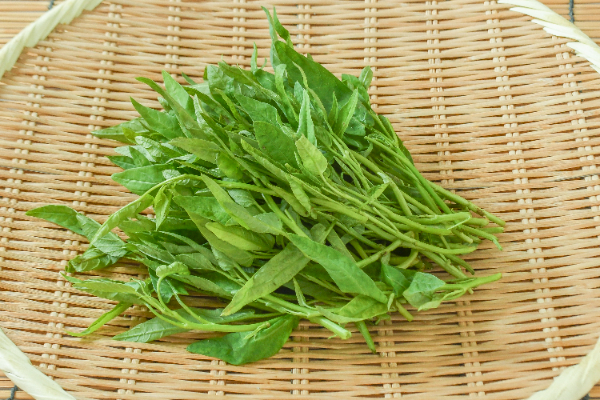 空芯菜（FG）