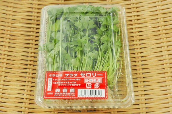 山正　サラダセロリ