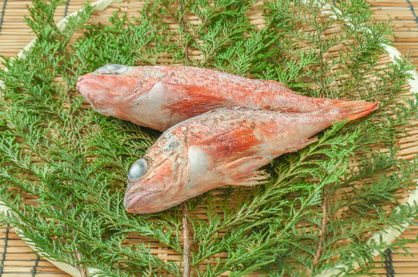 アラカブ（ラウンド）260-400gr