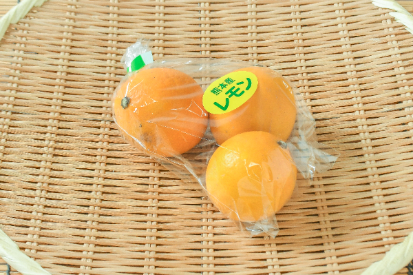 れもん レモ3-IN-1＋バウンサー セット – サイベックス公式オンラインストア