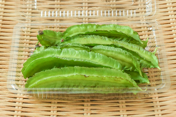 四角豆（うりずん豆）