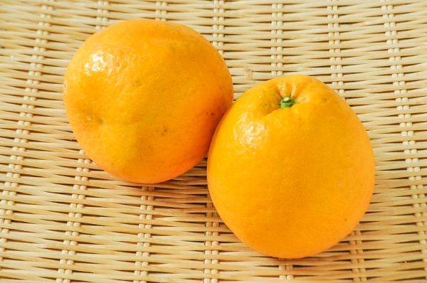 紅ジューシーオレンジ（2L）