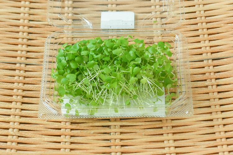 クレソン 【業務用食材の仕入れなら八面六臂】
