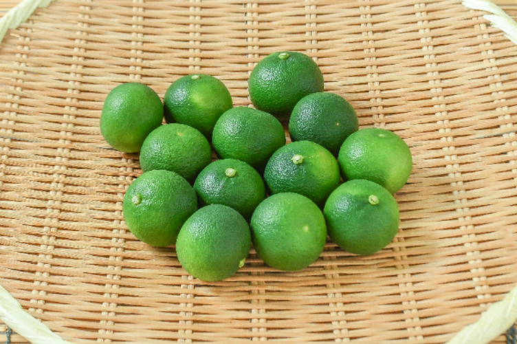 すだち（4L）（青秀）500gr