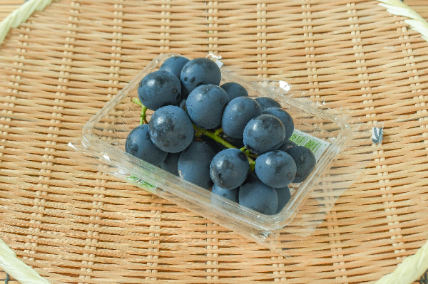 ナガノパープル（2L）（秀）300gr