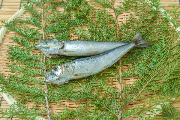 イワシ 【業務用食材の仕入れなら八面六臂】