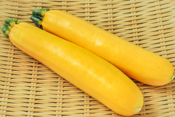 黄色ズッキーニ（B）（5本サイズ）
