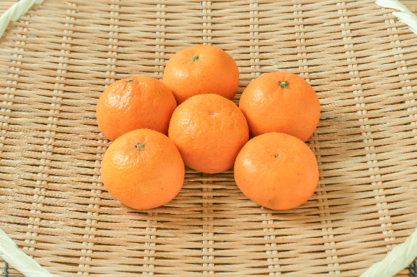 はれひめ（S）（青秀）