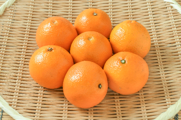 伊予柑（S）（赤秀）