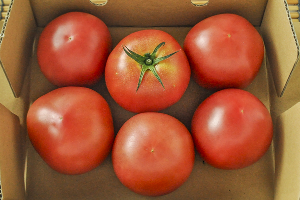 トマト（小箱） 【業務用食材の仕入れなら八面六臂】