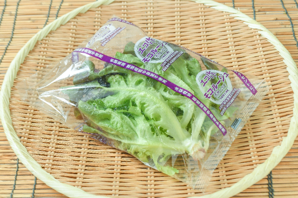モコルージュ