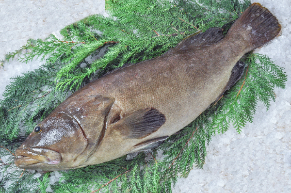 『大人気！』真いかするめ足【10kg】 大人気！』真いかするめ足【10kg】