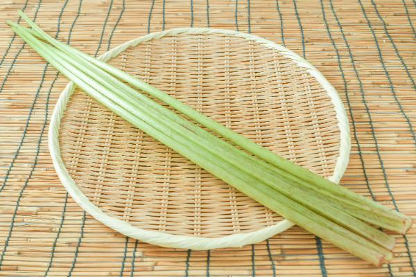 ふき（中）