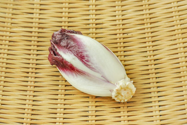 アンディーブチコリ 赤 八面六臂