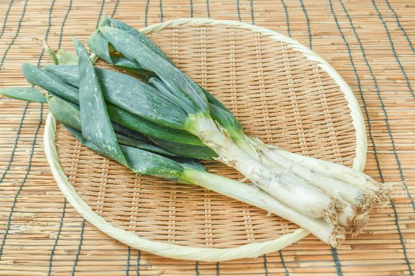 下仁田ねぎ（S）500gr