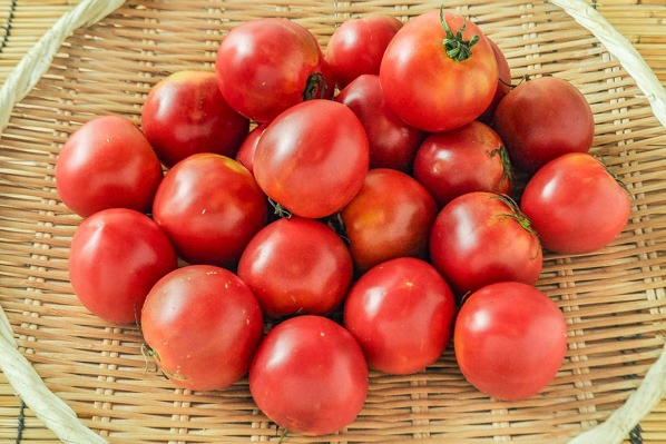 大玉トマトつぶし用　（2S-3L）1.5－2kg