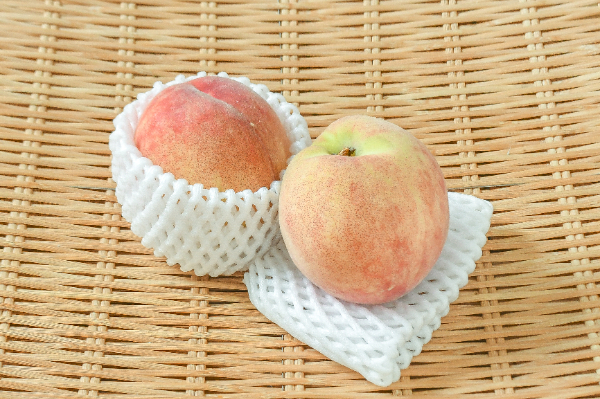 加納岩白桃（24玉サイズ）（秀）