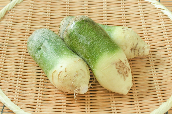 ビタミン大根（青芯大根）（B）