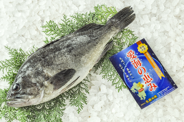 魚の身に黒い粒が多数付着しているのですが これは何ですか 八面六臂