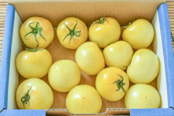 大玉トマト（有機栽培） 【業務用食材の仕入れなら八面六臂】