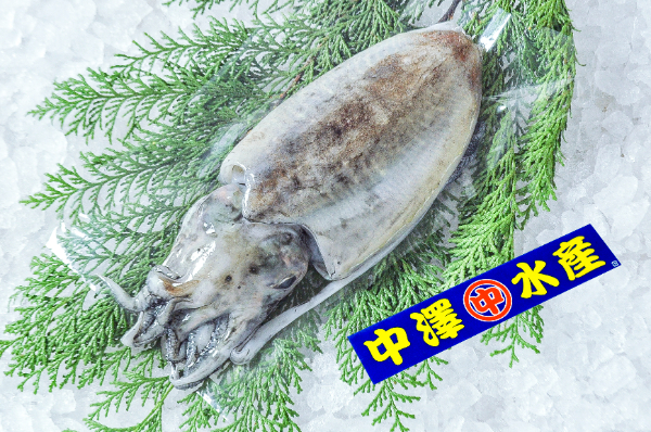 中澤水産　コウイカ（スミイカ）