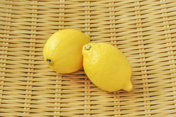 駿河屋　レモン（140玉サイズ）