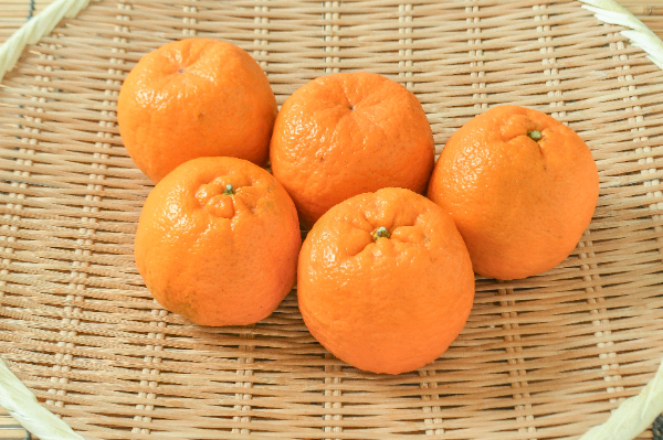 ポンカン（2S） 【業務用食材の仕入れなら八面六臂】