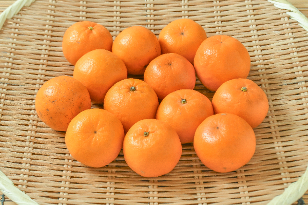 ポンカン（2S）（青秀）1kg